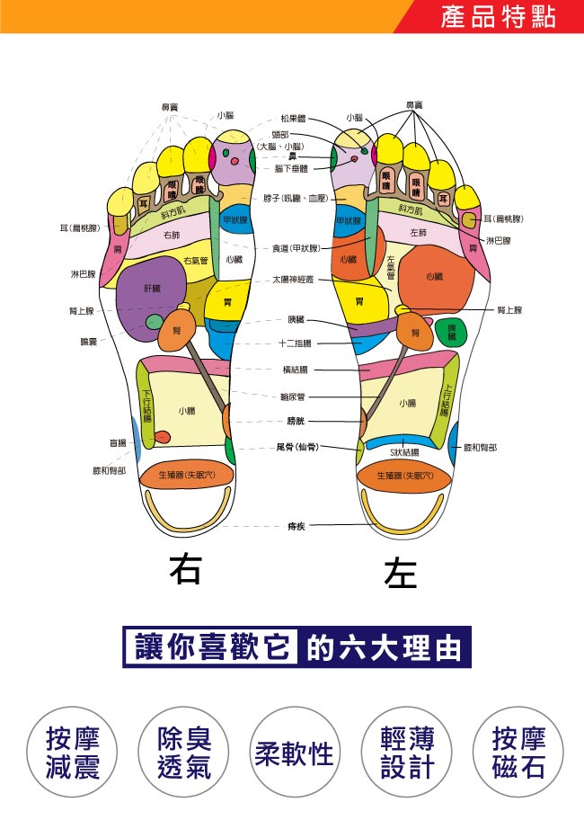 【輕鬆大師】8D磁氣按摩調整型鞋墊-(8雙)