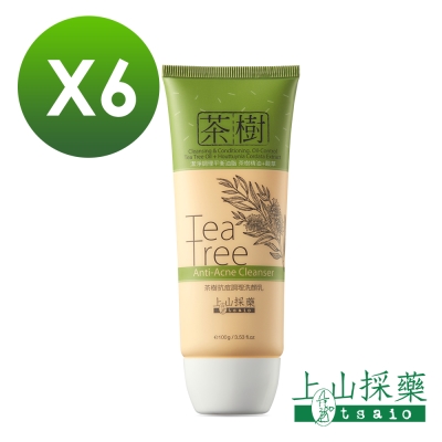 tsaio上山採藥 茶樹抗痘調理洗顏乳100g 6入組