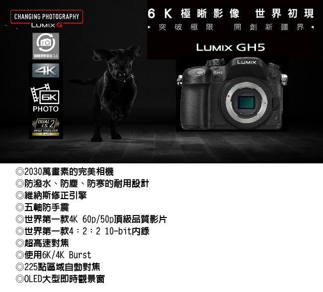 Panasonic LUMIX GH5+Leica 12-60mm II 單鏡組*(平輸)