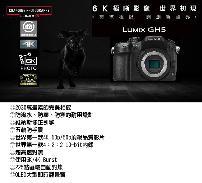 Panasonic LUMIX GH5 單機身*(平輸中文)