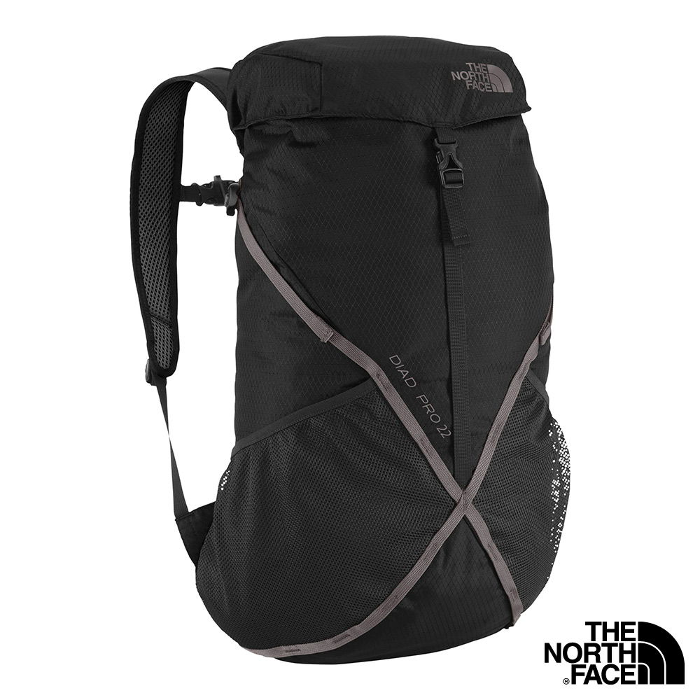 the north face 22l