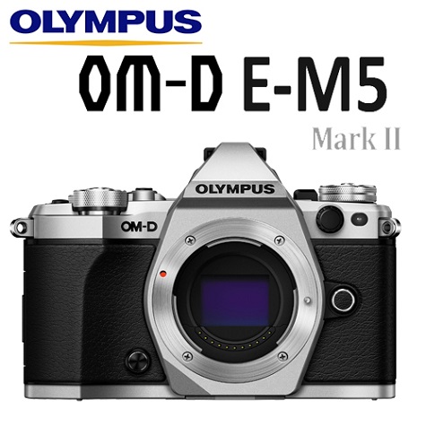 OLYMPUS OM-D E-M5 Mark II 單機身 (公司貨)