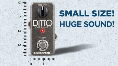 tc electronic Ditto Looper 效果器