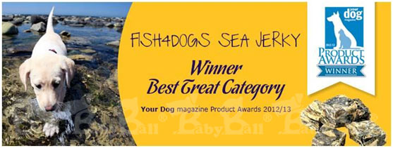 海洋之星Fish4Dogs營養潔齒點心、魚皮小丁13mm、100g、2入、適合小型犬隻食用