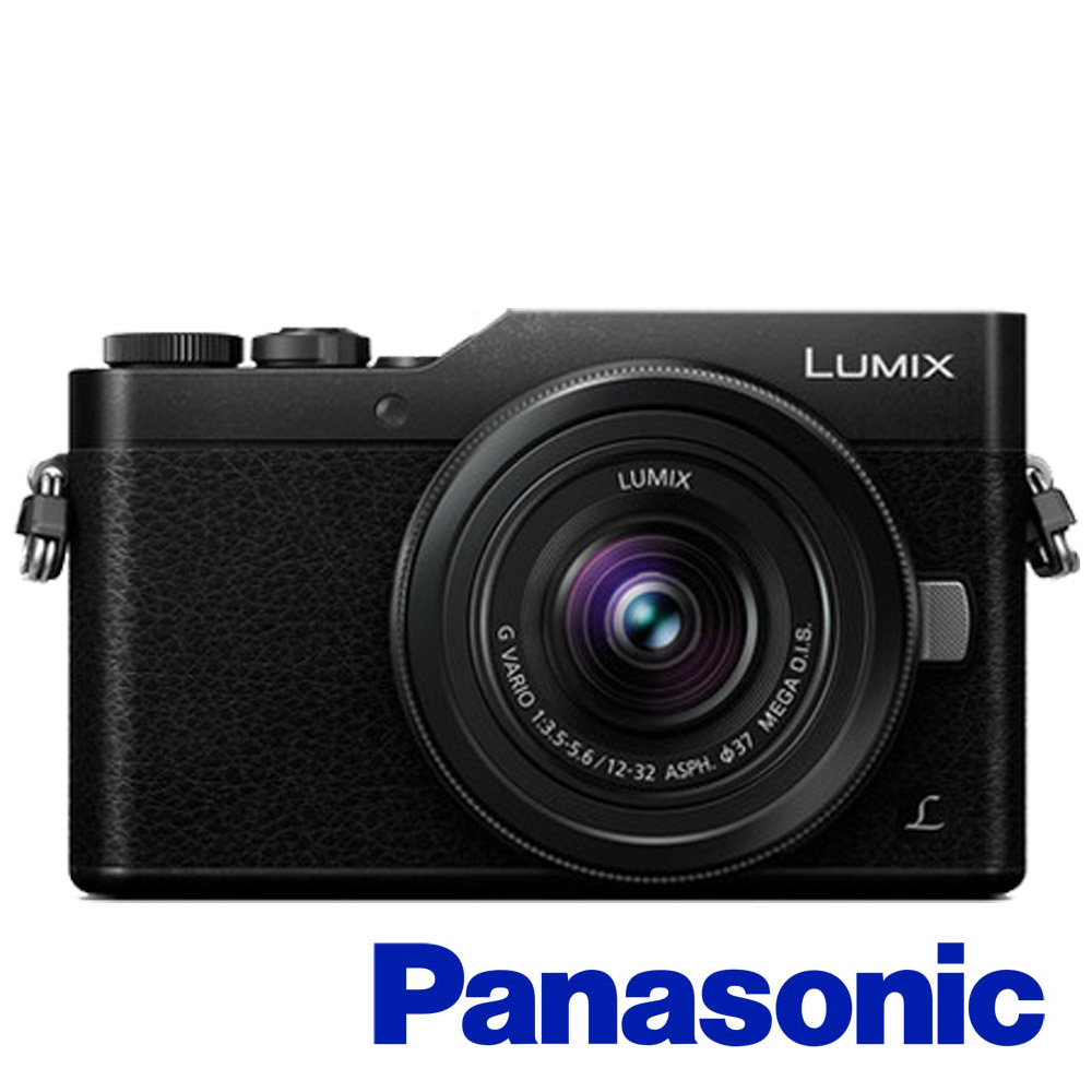 Panasonic GF9ミラーレス一眼 | www.pizzatime.lt