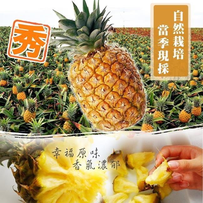 【天天果園】台灣一口吃蜜鳳梨10顆(每顆約500-750g)