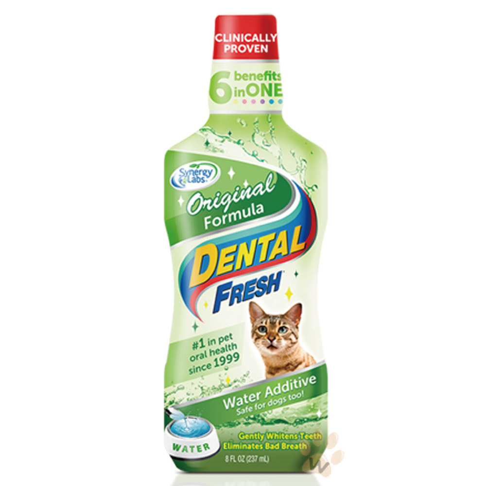 美國潔牙白Dental Fresh-貓咪版潔牙液 237ml (DF0001) 「兩罐組」