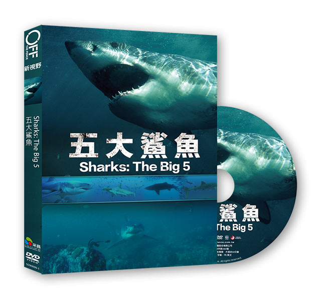 五大鯊魚 DVD