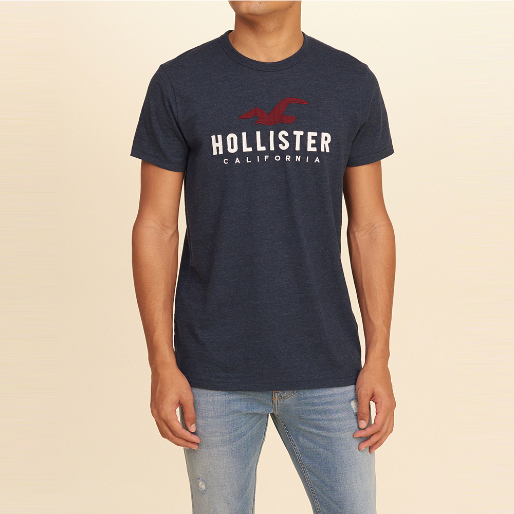 HCO Hollister 海鷗 經典刺繡大海鷗文字短袖T恤-深藍色