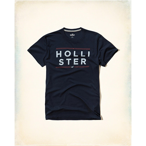 HCO hollister 海鷗 經典刺繡文字海鷗短袖T恤-深藍色