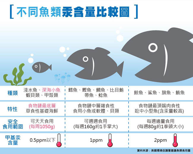 諾得高單位TG型冰島深海魚油軟膠囊(120粒x1盒)