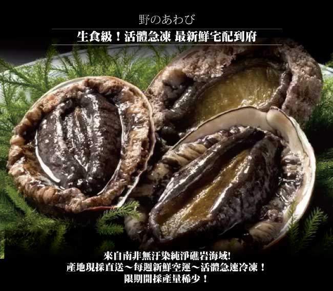 小川漁屋 極品南非活凍帶殼鮑魚1包（500G+-10%包/約6~8粒）