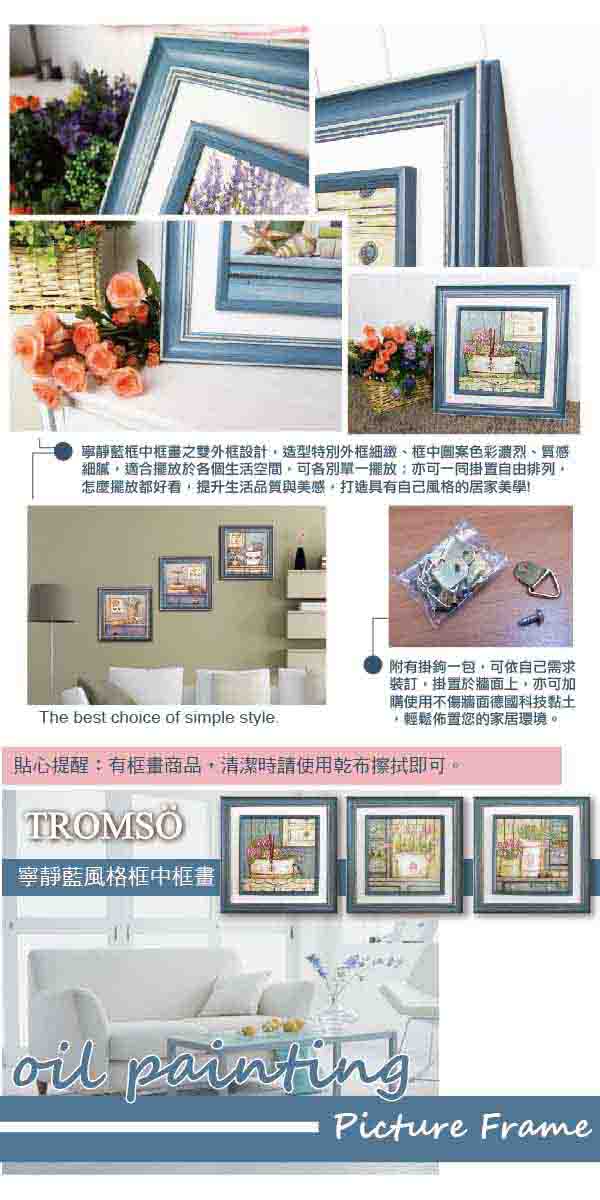 TROMSO寧靜藍風格框中框畫 三聯式-海岸花鄉