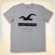 Hollister HCO 短袖 LOGO T恤 灰色 411 product thumbnail 1