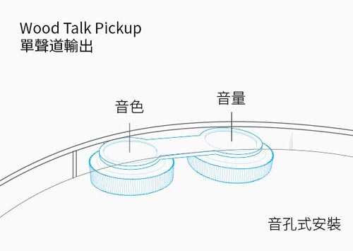 aNueNue M100EWT 全單板飛鳥系列電民謠木吉他