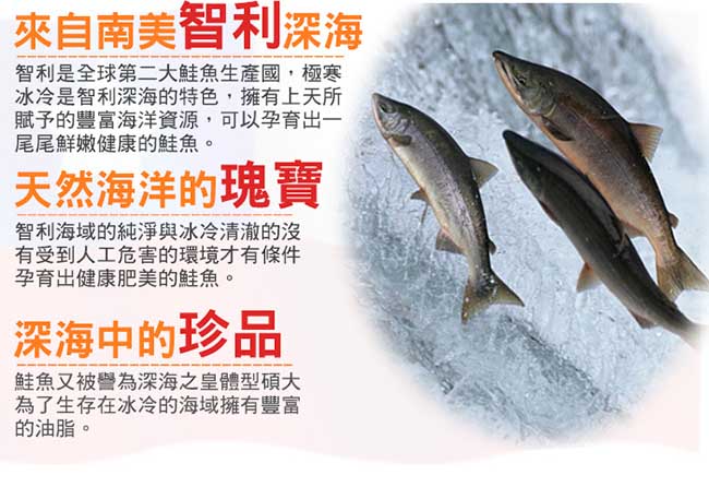 買一送一 好神深海瑰寶生凍鮭魚片4片組(165g/片 共8片)