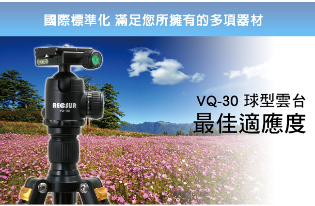 RECSUR 銳攝 VQ-30 專業球型雲台 -黑色