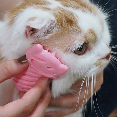 日本CattyMan 貓用按摩除毛軟梳