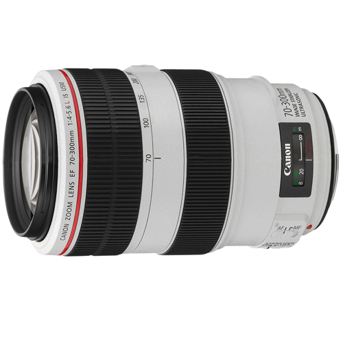 Canon EF 70-300mm f/4-5.6L IS USM (平行輸入)