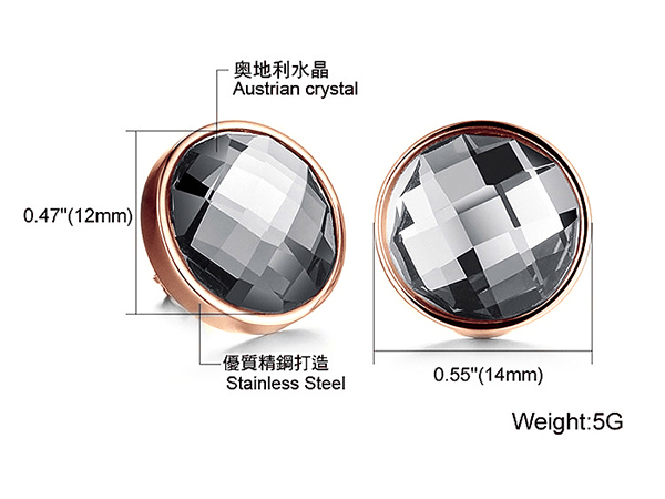 JINCHEN 白鋼圓形水晶耳環 玫瑰金
