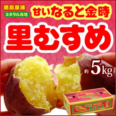 果之蔬 日本里蒲栗子地瓜 5kg±10% (日本原裝進口)