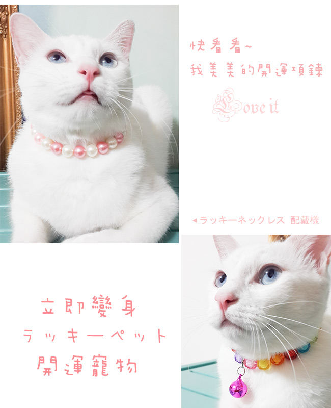 A1寶石日本寵物平安開運項鍊-幫助主人招財 開運 遇貴人(含開光-款式7)