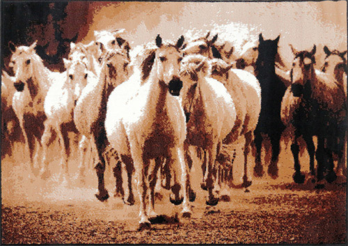 Ambience-比利時Shiraz 現代地毯--駿馬(120×170cm).