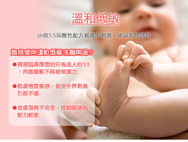 美國 Nuby 奶蔬清潔露補充包 600mlx3入