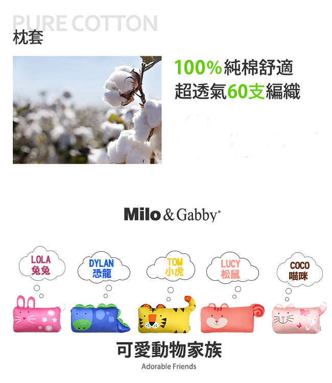 Milo&Gabby 動物好朋友-mini枕頭套(DYLAN恐龍)