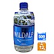 WILDALP 奧地利天然礦泉水(500mlx12瓶) product thumbnail 1