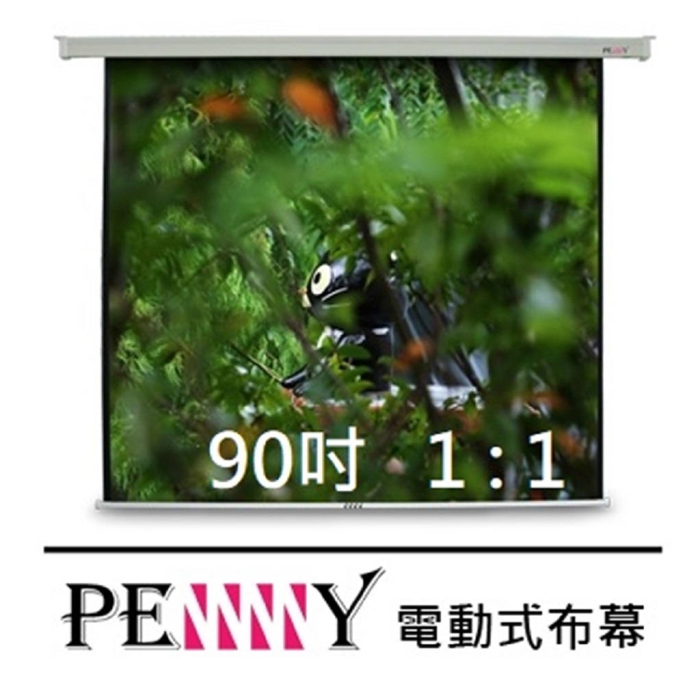 台灣專業製造~ PENNY PS-90(1:1) 90吋方型電動幕