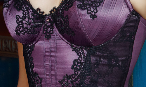 La Felino - 紫豔魅惑3/4罩泡棉款B-E罩杯馬甲 (迷人紫)
