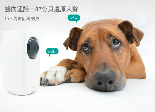 【小米大方智能攝像機】台灣可用版 1080P 夜視版 WIFI攝像機 錄影機 小蟻 米家