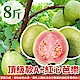 果之蔬 頂級款A+紅心芭樂8台斤±10% product thumbnail 1