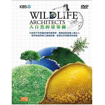 大自然的建築師DVD (3片裝) WILDLIFE ARCHITECTS