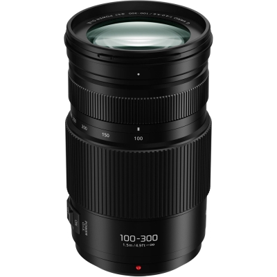 Panasonic 100-300mm F4.0-5.6 II 二代變焦鏡頭(公司貨)