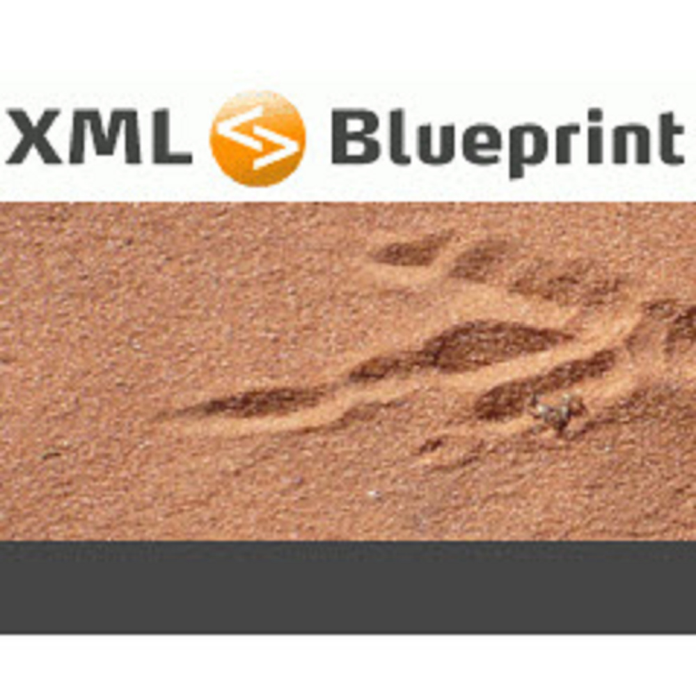 XMLBlueprint XML EditorPro專業版單機版(下載)