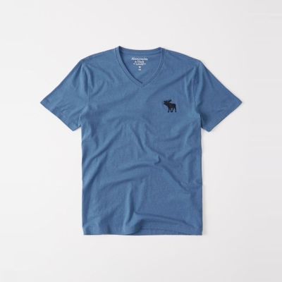 AF a&f Abercrombie & Fitch 短袖 T恤 藍色 310