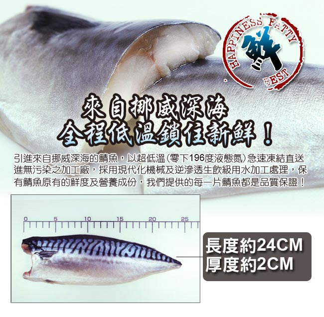 食在幸福 挪威深海薄鹽鯖魚片10包(190g/包)