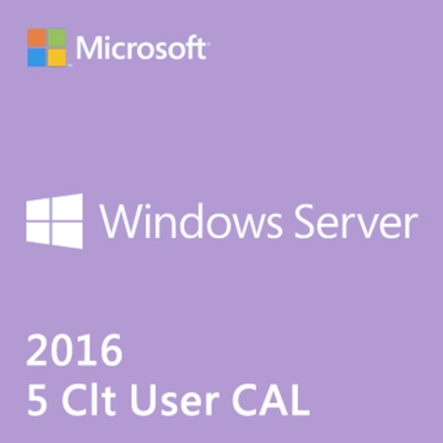 中文微軟伺服器用戶端Win Server CAL 2016五個使用者User CAL隨機版