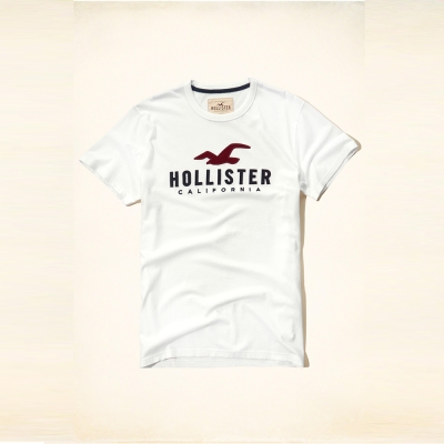 Hollister HCO 海鷗 經典大海鷗文字設計短袖T恤-白色