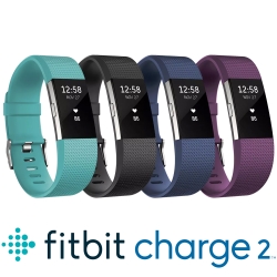 8折▼Fitbit Charge 2 無線心率監測專業運