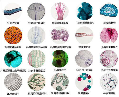 100片生物教學切片標本組