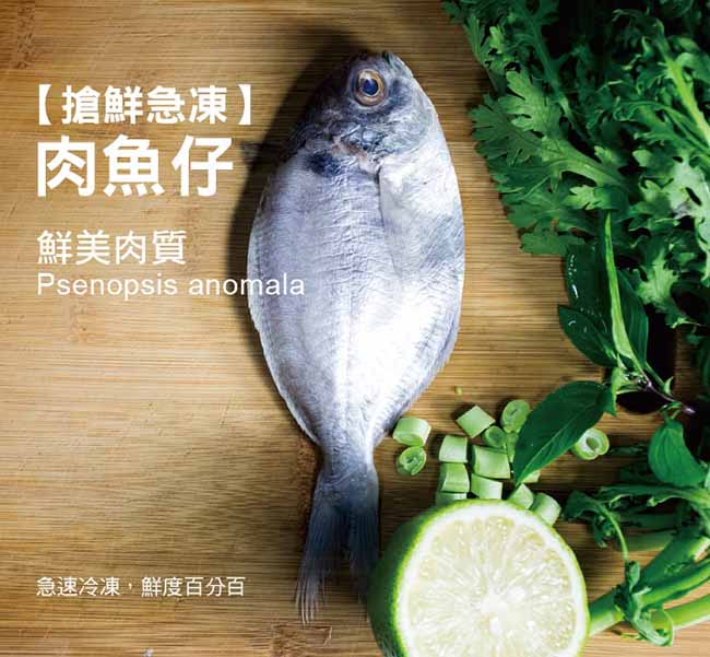 好神 台灣鮮凍鯖魚+優質肉魚15件組(鯖魚*10片+肉魚*5包)