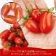 【果之蔬】無毒溫室LV等級玉女蕃茄【6小盒入/每小盒300g】 product thumbnail 1