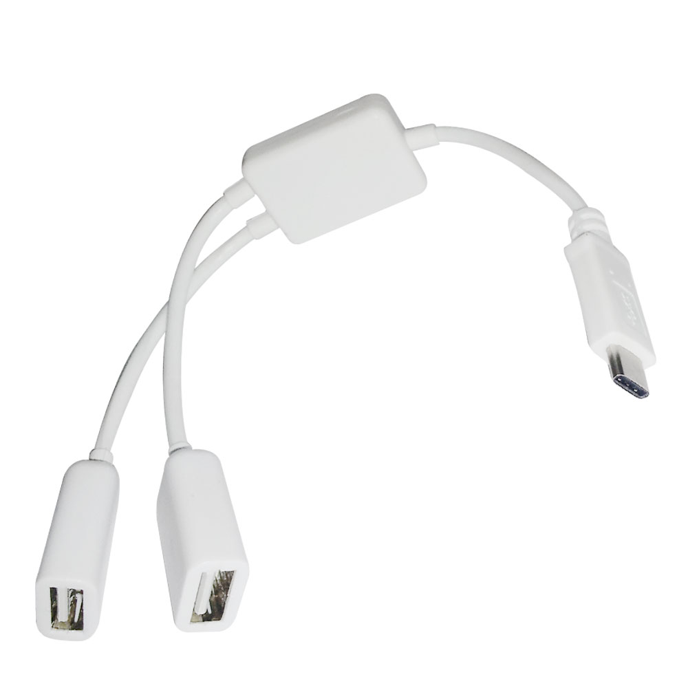 MacBook USB 3.1 Type-C to 2port USB OTG 傳輸線