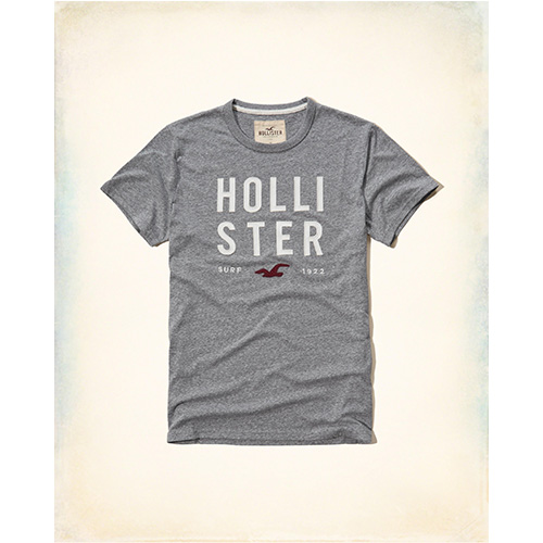 Hollister HCO 海鷗 經典海鷗文字設計短袖T恤-灰色