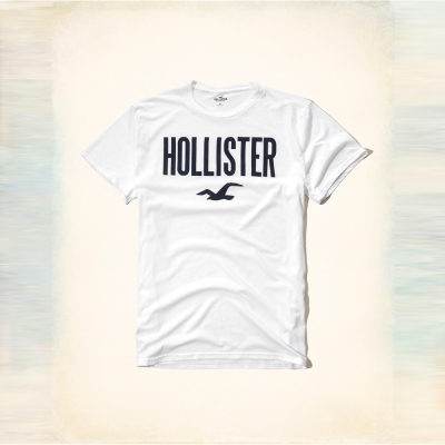 HCO hollister 海鷗 經典印刷文字 大海鷗圖騰短袖T恤-白色