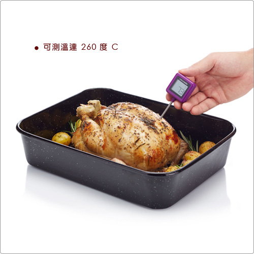 KitchenCraft 附套電子探針溫度計(方)