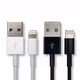 iPhone 5/iPad mini專用Lightning to USB充電傳輸線10cm product thumbnail 1